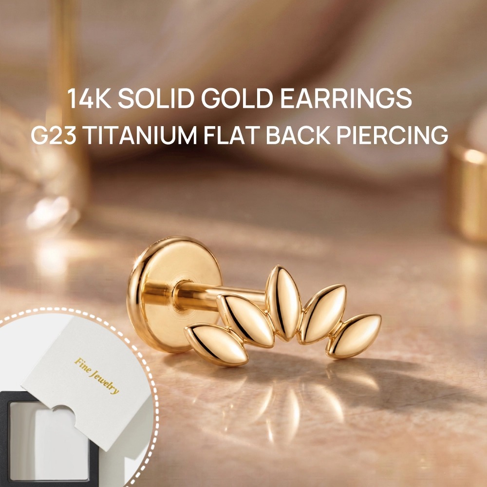 DIeSchein 14K Solid Gold Stud  - đánh giá và giá Body Jewelry Hypoallergenic