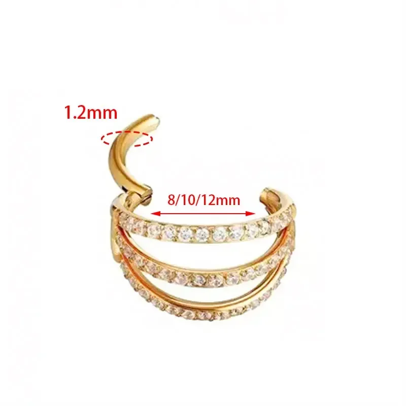 G23 Titanium Hinged Segment No - đánh giá và giá Zoor Body Jewelry