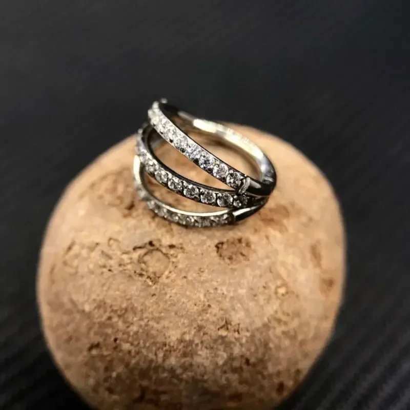 G23 Titanium Hinged Segment No - đánh giá và giá Zoor Body Jewelry